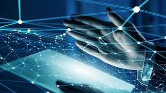 互聯(lián)網(wǎng)信息服務(wù)嚴(yán)重失信主體信用信息管理辦法公開征求意見