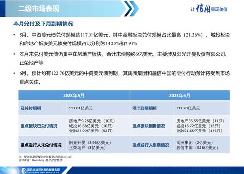 中資美元債市場信息月報（2023年5月） 一級市場發行繼續低迷，二級市場表現保持分化