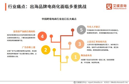 2023年中國(guó)品牌電商服務(wù)行業(yè)深度洞察 信息咨詢(xún)服務(wù)賦能品牌新增長(zhǎng)